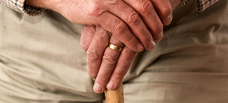Cane.jpg Cane.jpg