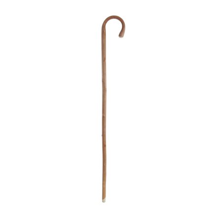 Coopers Hospital Walking Stick