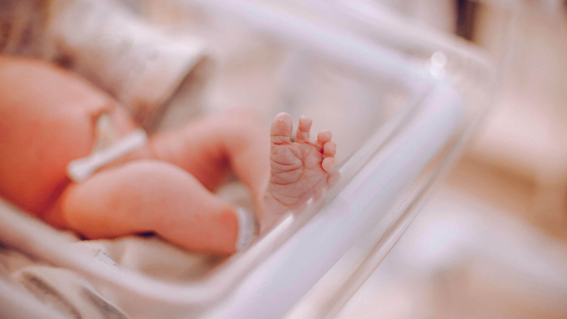 Things you may not know about wheelchair pregnancy