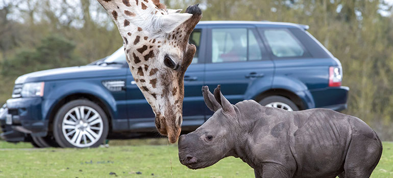 Accessible summer plans for wheelchair users
