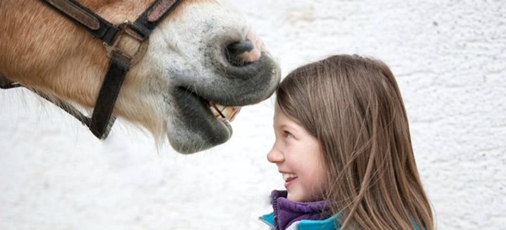 Equine therapy: medical foundations of therapy with horses