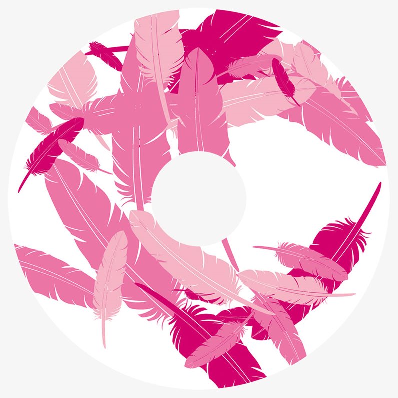 A feather spokeguard pattern.