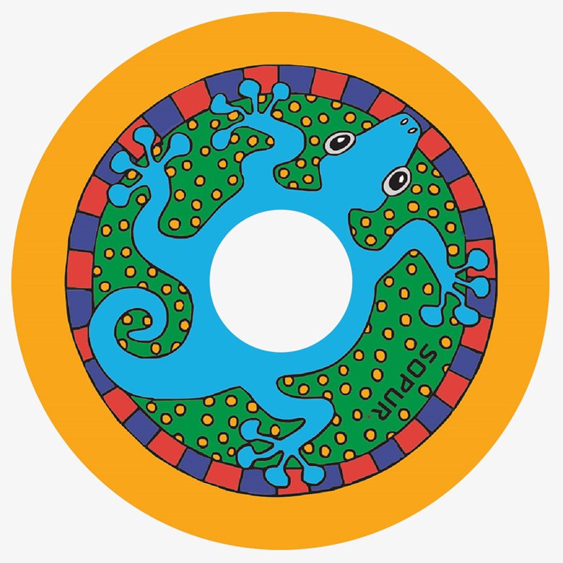 An bibbo spokeguard pattern.